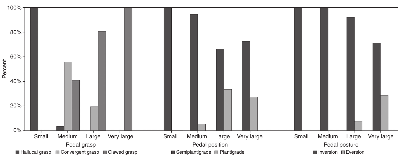 Bar charts of pedal grasp, pedal position, and pedal posture percentages across substrate size categories