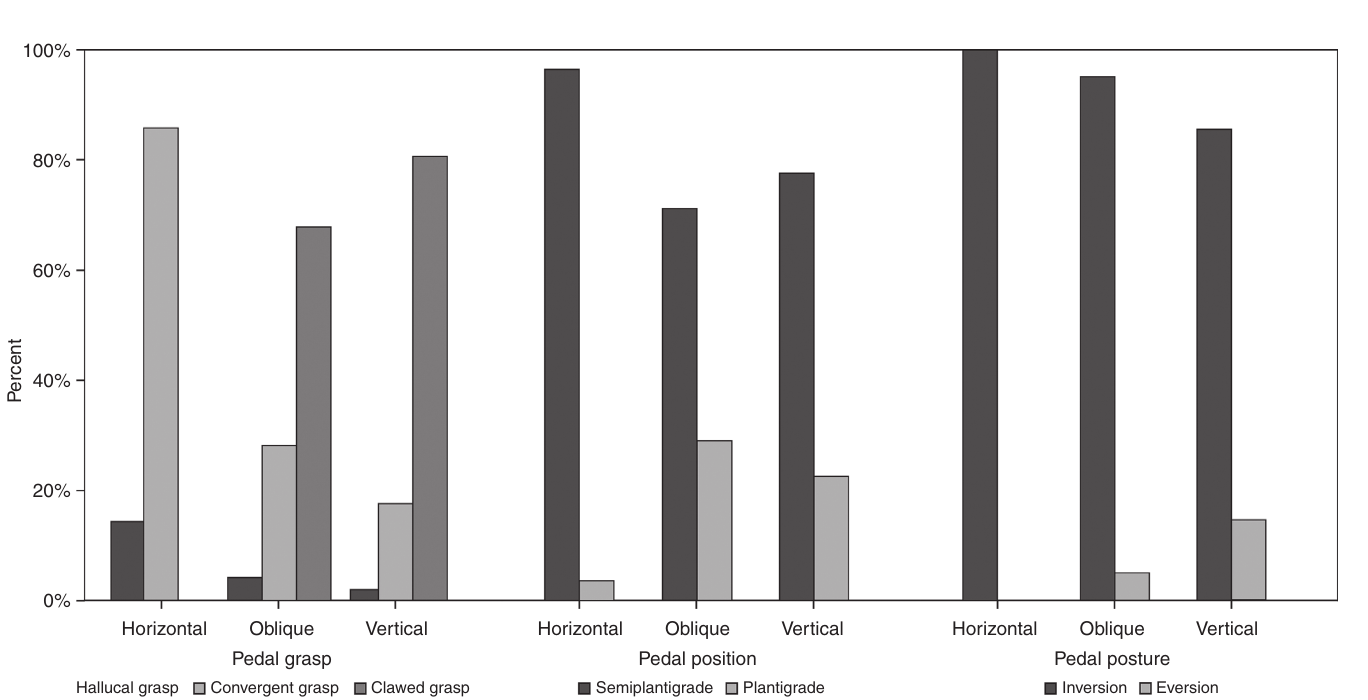 Bar charts of pedal grasp, pedal position, and pedal posture percentages across substrate inclination categories