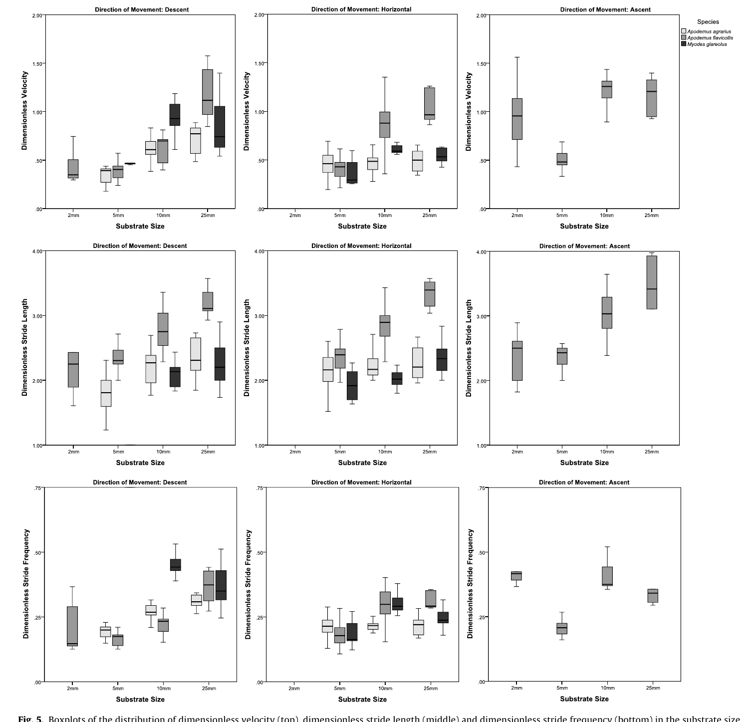 Boxplots of dimensionless velocity, stride length, and stride frequency distributions across substrate sizes and directions of movement