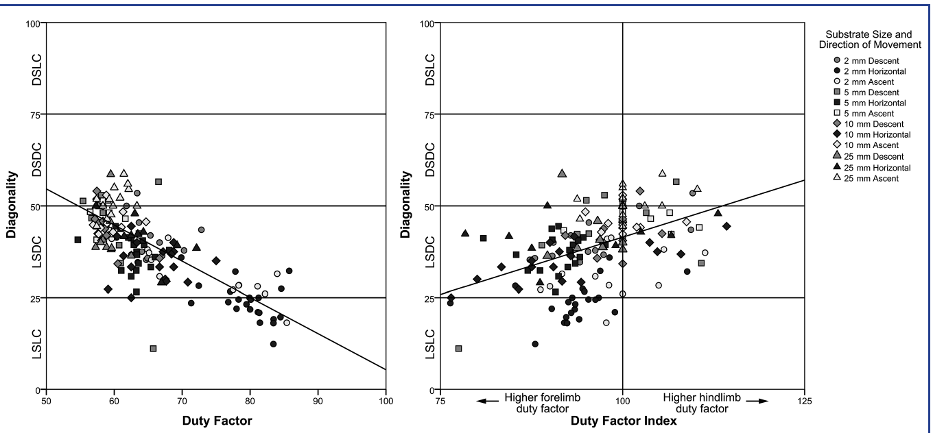 Two scatterplots of diagonality against duty factor and against duty factor index, with points coded by substrate size and direction of movement and significant regression lines