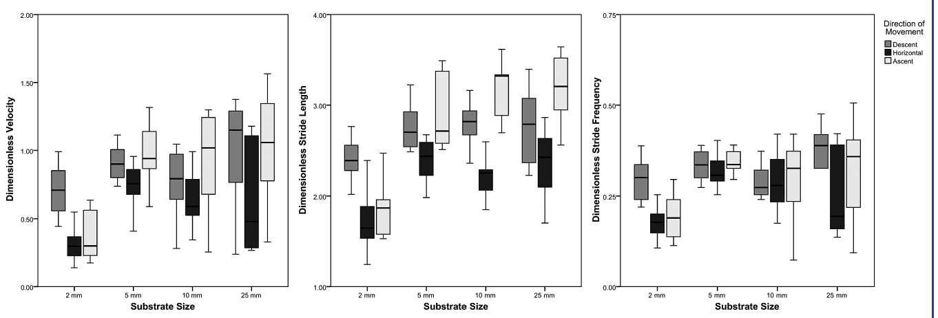 Boxplots of dimensionless velocity, dimensionless stride length, and dimensionless stride frequency across the four substrate sizes, split by direction of movement