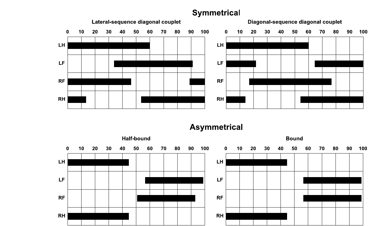 Support patterns for two symmetrical and two asymmetrical gait cycles