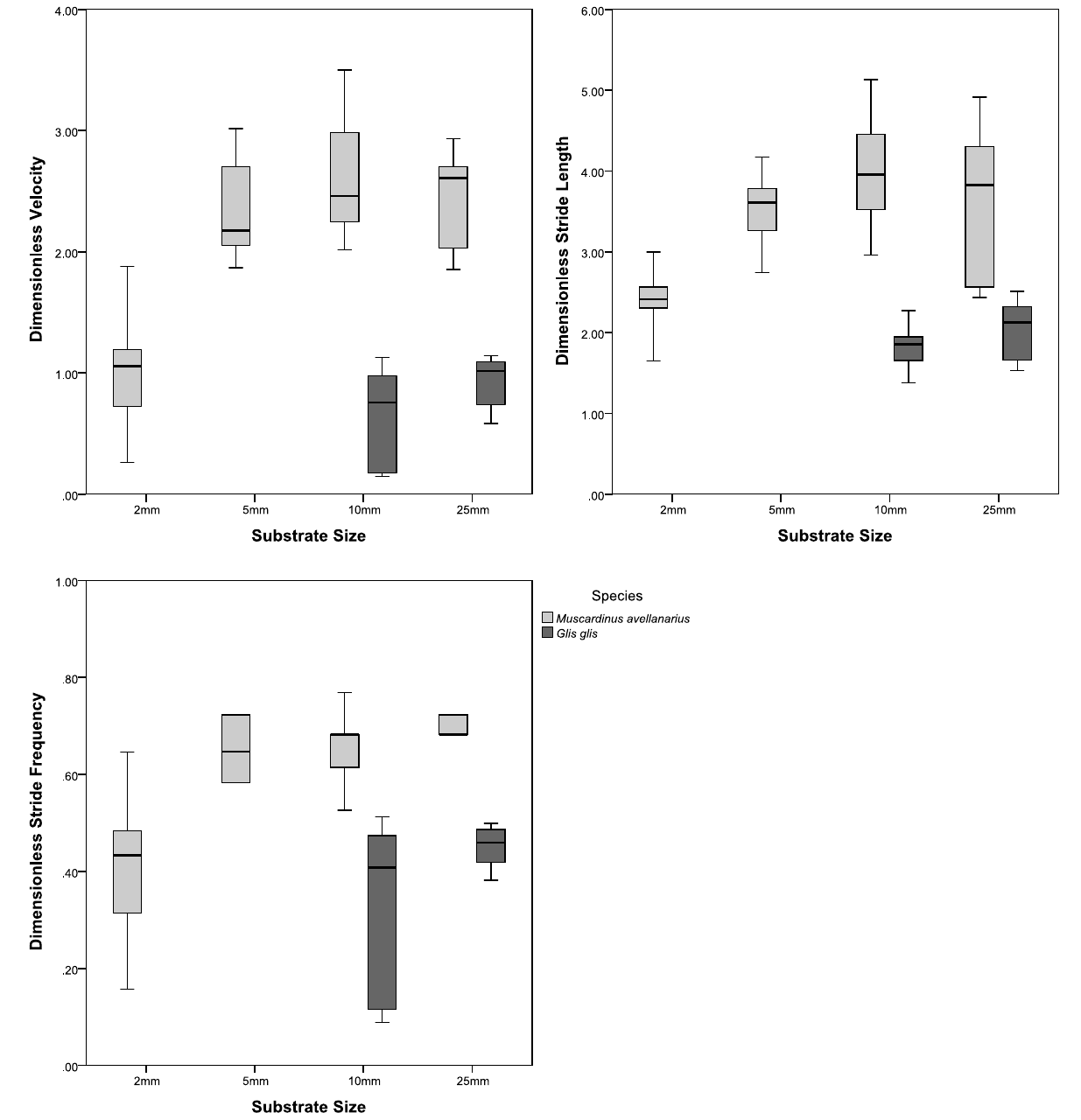 Boxplots of the distribution of dimensionless velocity, dimensionless stride length and dimensionless stride frequency in the substrate size categories examined