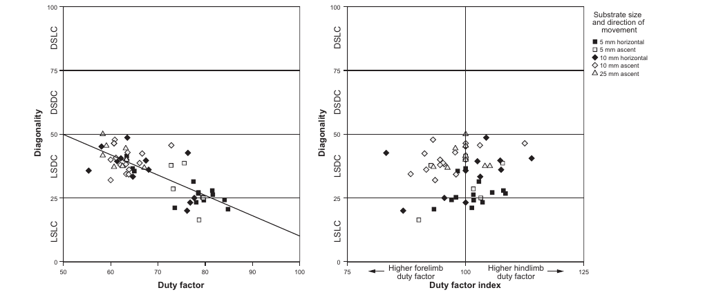 Scatterplot of diagonality as a function of duty factor and duty factor index for all symmetrical gait cycles
