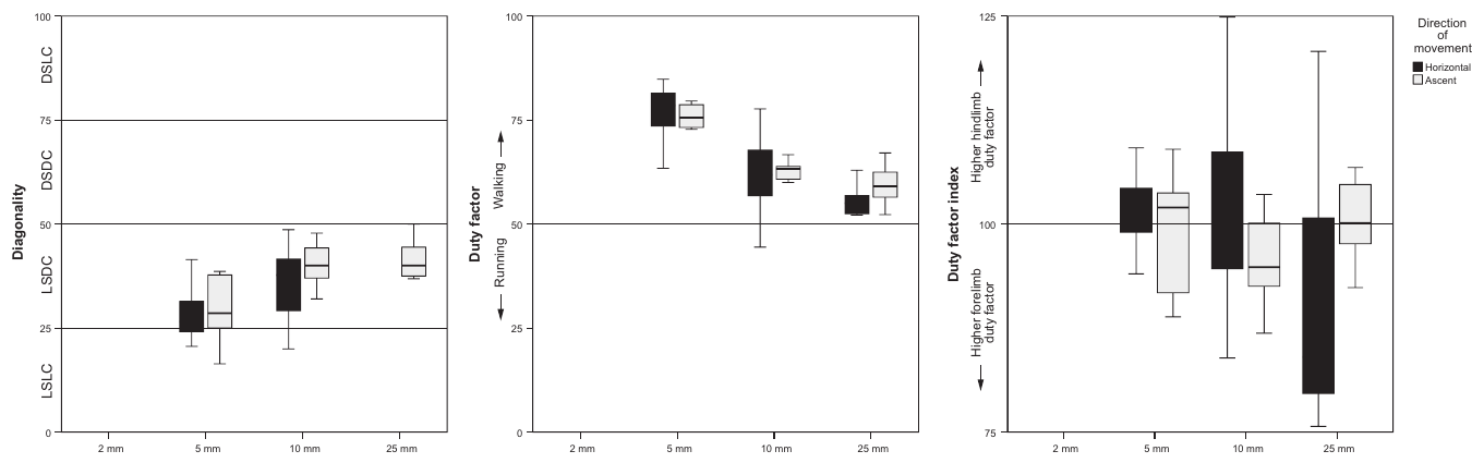 Boxplots of the distribution of gaits' diagonality, duty factor and duty factor index in the substrate size categories examined