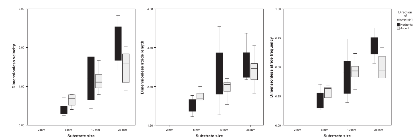 Boxplots of the distribution of dimensionless velocity, dimensionless stride length and dimensionless stride frequency in the substrate size categories examined