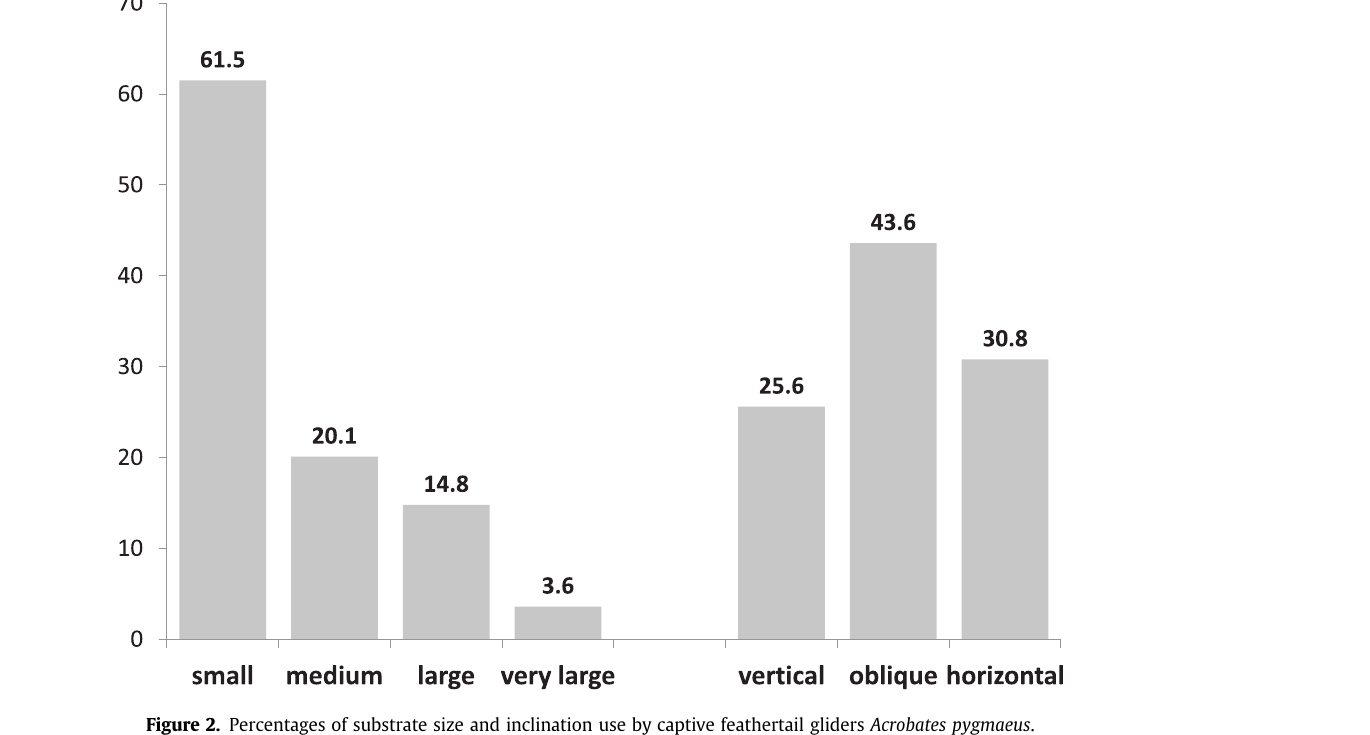 Percentages of substrate size and inclination use by captive feathertail gliders Acrobates pygmaeus