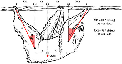 Schematic illustrating the method for calculating X1 and X2 for Rpred