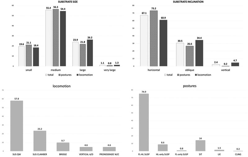 Percentages of substrate size use, substrate inclination use, locomotor modes, and postural modes of captive Choloepus didactylus under naturalistic conditions