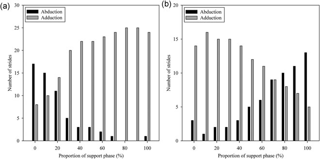 Frequency plot showing whether the arm and thigh was in an adducted or abducted position at 10% intervals of support phase during suspensory walking in Choloepus didactylus