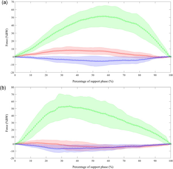 Force traces for the forelimb and hindlimb collected during suspensory walking in Choloepus didactylus