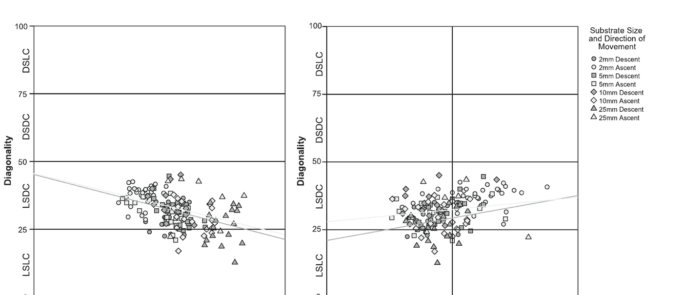 Scatterplot of diagonality as a function of duty factor and duty factor index for all recorded cycles