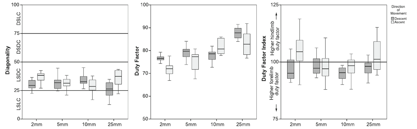 Boxplots of the distribution of gait diagonality, duty factor, and duty factor index for the substrate sizes examined