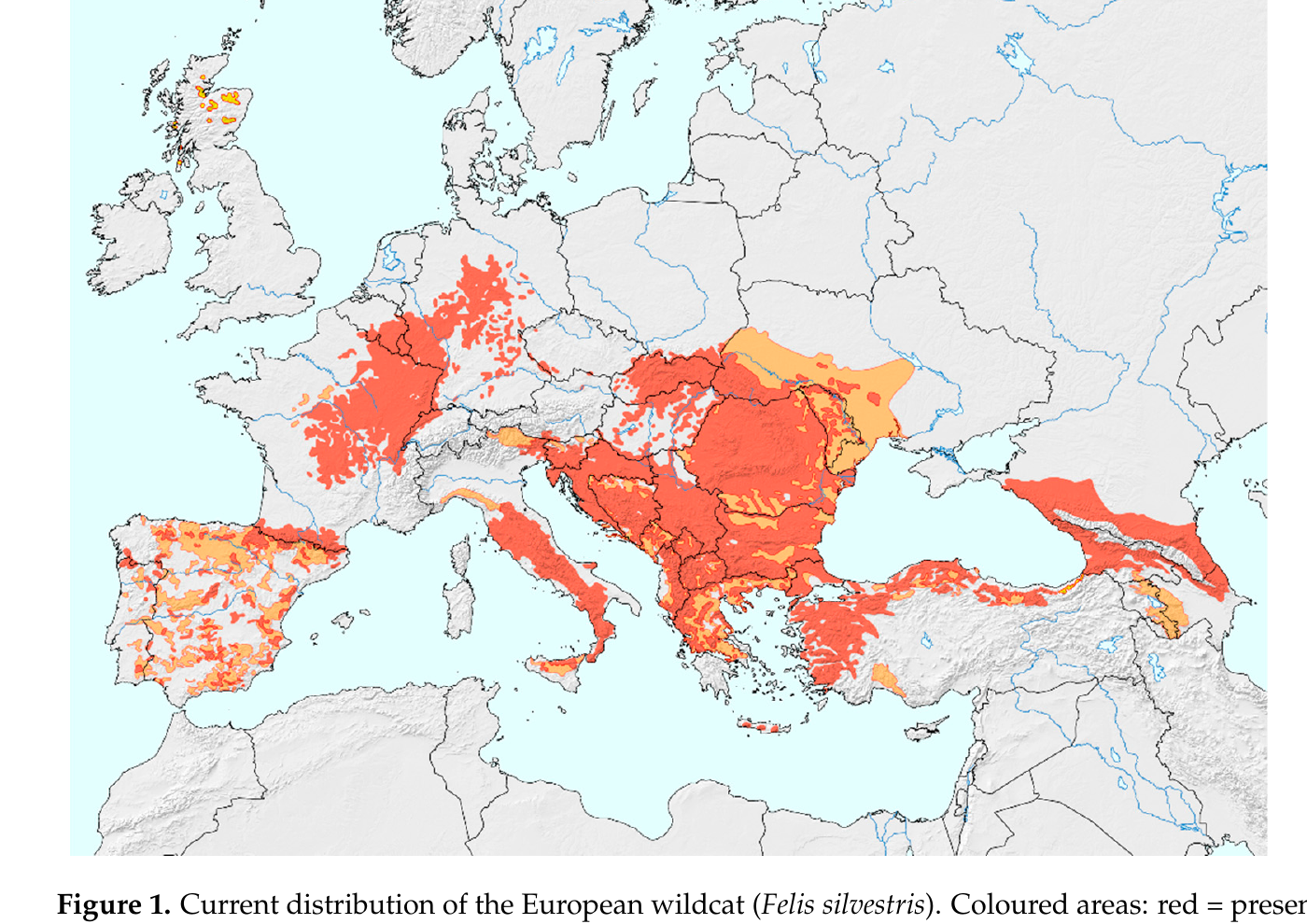 Map showing the current distribution of the European wildcat across Europe and the Middle East