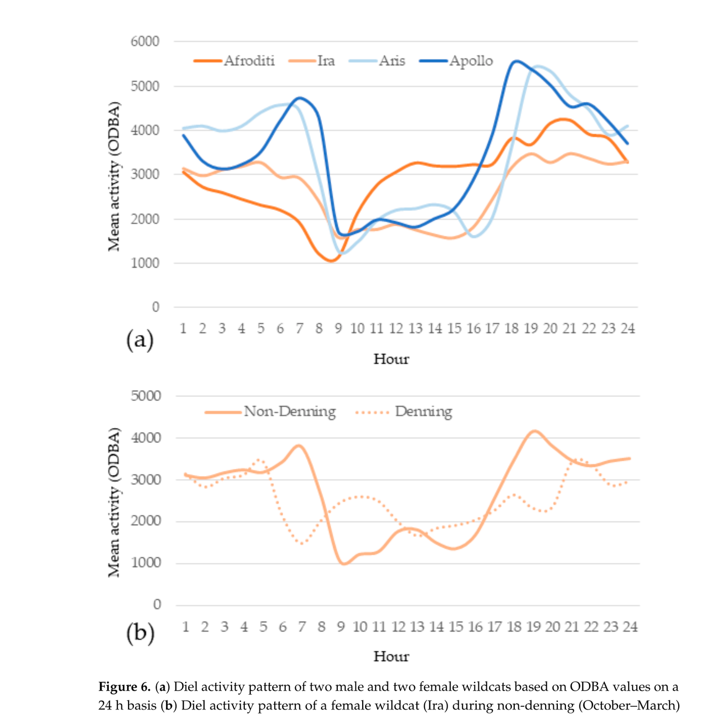 Two line graphs showing diel activity patterns of the wildcats across the 24 hour cycle