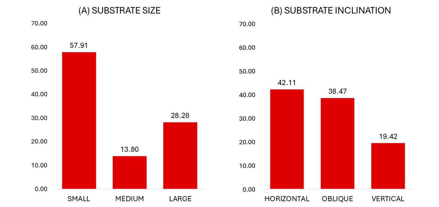 Bar charts showing percentages of substrate size and inclination use in captive Xanthonycticebus pygmaeus